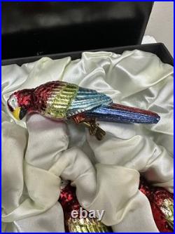 RARE Frontgate Holiday Collection SET 6 MACAW PARROT Glass Christmas Ornaments RARE Frontgate Holiday Collection SET 6 MACAW PARROT Glass Christmas Ornaments