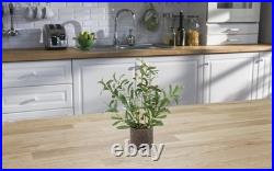 Realistic 18 Fake Olive Branches Plant with Fruits