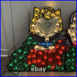 Roman Peanuts Snoopy & Friends Pumpkin Patch Fall Halloween Light Up Yard Decor
