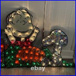 Roman Peanuts Snoopy & Friends Pumpkin Patch Fall Halloween Light Up Yard Decor Roman Peanuts Snoopy & Friends Pumpkin Patch Fall Halloween Light Up Yard Decor