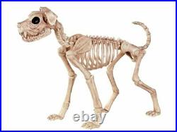 Skeleton Dog Prop Halloween Haunted House Graveyard Bones Skull Pet Cemetery New