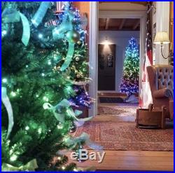 Smart App Controlled Christmas Tree LED Lights Set Of 100 Twinkley Xmas Lights