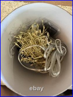 Terrain Stargazer Two-Tone Tendril Vine Lights 20FT NEW