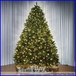 The 12' Foot Worlds Best Douglas Fir Full Christmas Tree LED Clear White Lights