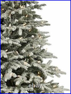 The Frosted Fraser Fir Christmas Tree Candlelight Clear LED 5.5' x 40