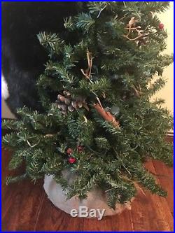 The Hen House Climbing Bear up a Lighted Christmas Tree