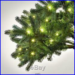The Worlds Best Prelit 4.5 Full Douglas Fir Christmas Tree LED White light