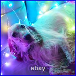 Twinkly Curtain App-Controlled Smart LED Christmas Lights 210 RGB (Open Box)