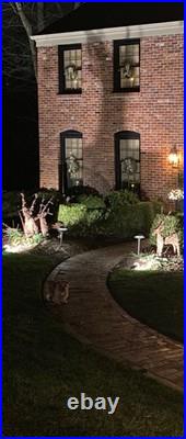 UPDATED! Grapevine Deer Outdoor Winter Holiday Decoration Family Of 6 Total