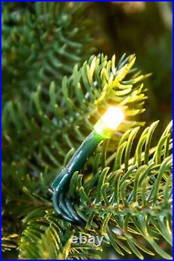 Un-lit/Pre-lit PE/PVC Ultra Realistic Pine (4ft to 10ft) Christmas Tree World
