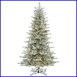 Vickerman Frosted Eastern Frasier Fir Christmas Tree