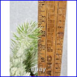 Vintage Style Christmas Floral Arrangement in Victorian Tin Teddy Bear Frosted