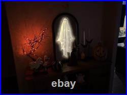 Viral Martha Stewart Ghost Mirror Halloween Decoration