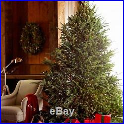 Williams-sonoma Christmas Tree 8-9 Ft Fresh Blue Ridge Mountain Xmas Limited