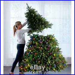 World's Best Prelit Douglas Fir 8.5' Full LED White Lights Christmas Tree