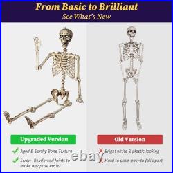 Yescom 2 Pack 5.6ft Life Size Posable Skeleton Halloween Decor with Shawl Sombrero