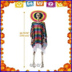 Yescom 2 Pack 5.6ft Life Size Posable Skeleton Halloween Decor with Shawl Sombrero